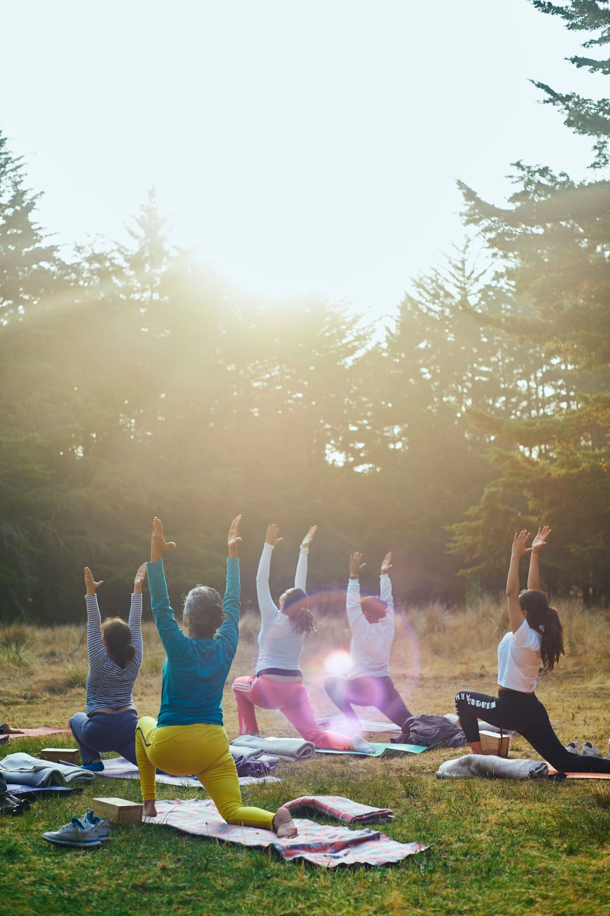 Cours de yoga en groupe en plein air dans une forêt avec le soleil qui filtre à travers les arbres